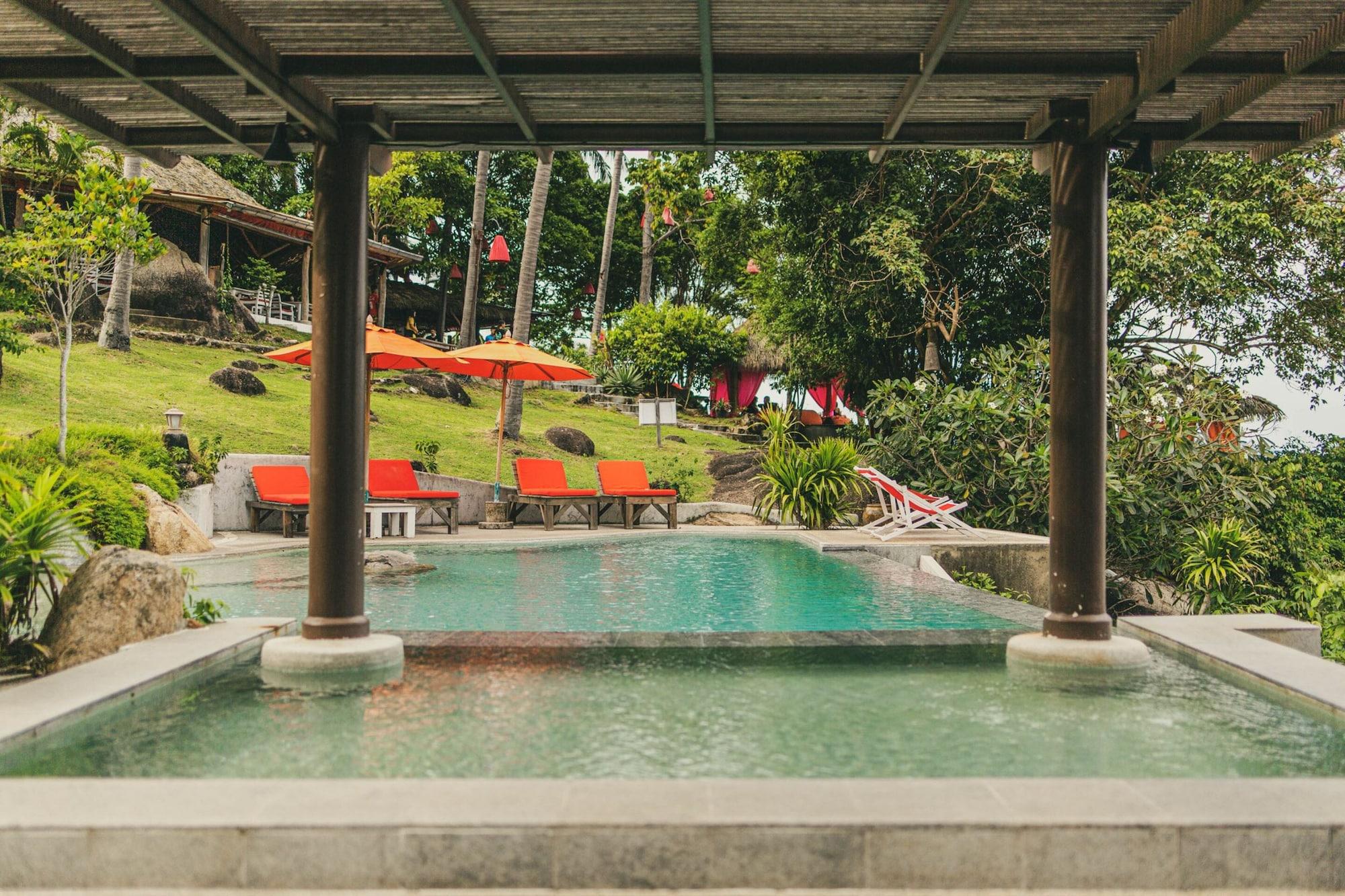 Vista Piscina The Jungle Club