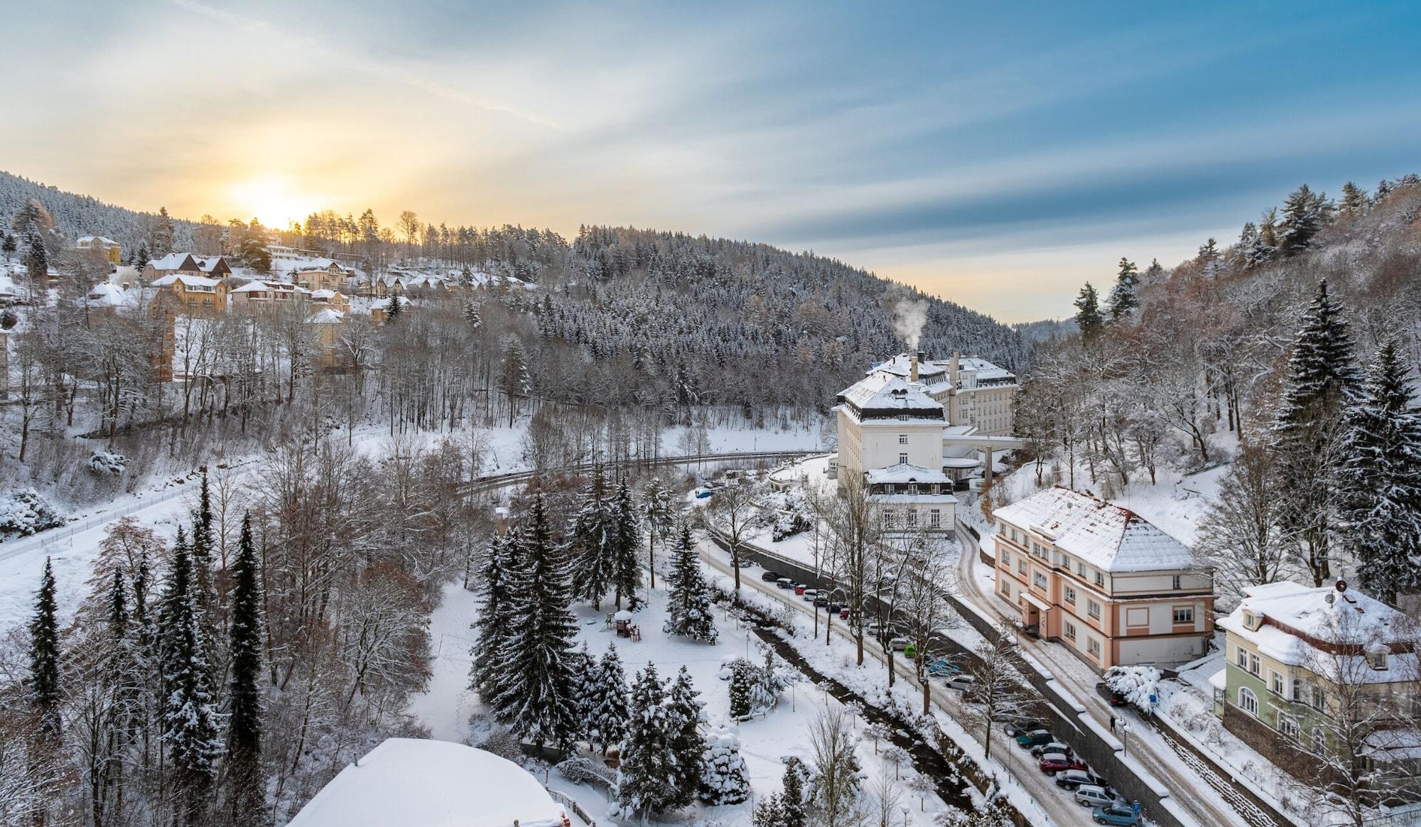 Vista Exterior Hotel Radium Palace