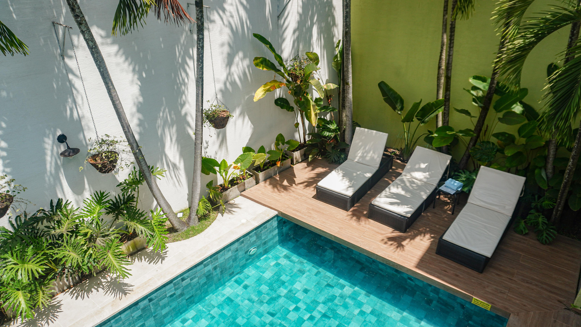 Vista Piscina MALIK HOTEL BOUTIQUE