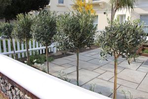 Alojamiento - Ravilious