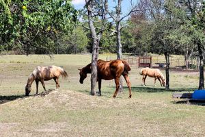 Alquiler Vacacional - Peaceful 'black Fork Cabin 1' - Fish On-site!
