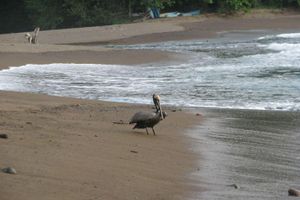 Alquiler Vacacional - Bungalow 13 in Lodge Punta Marenco