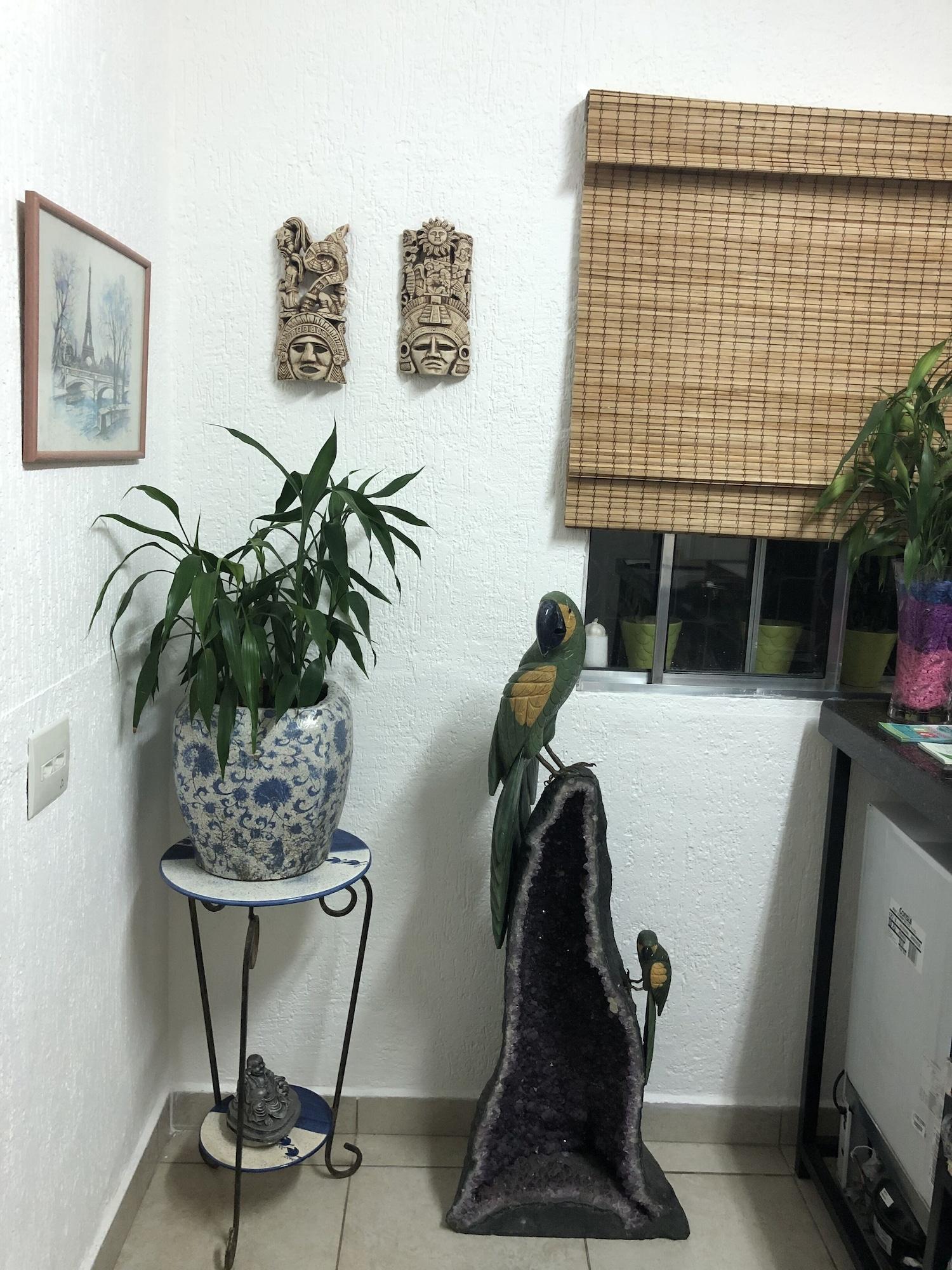 Vista Lobby Hostel Ipê