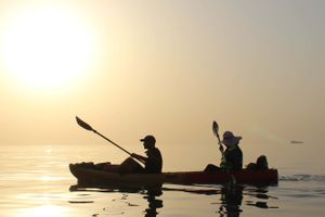 Actividad - Tour en kayak al atardecer por la costa de Mascate