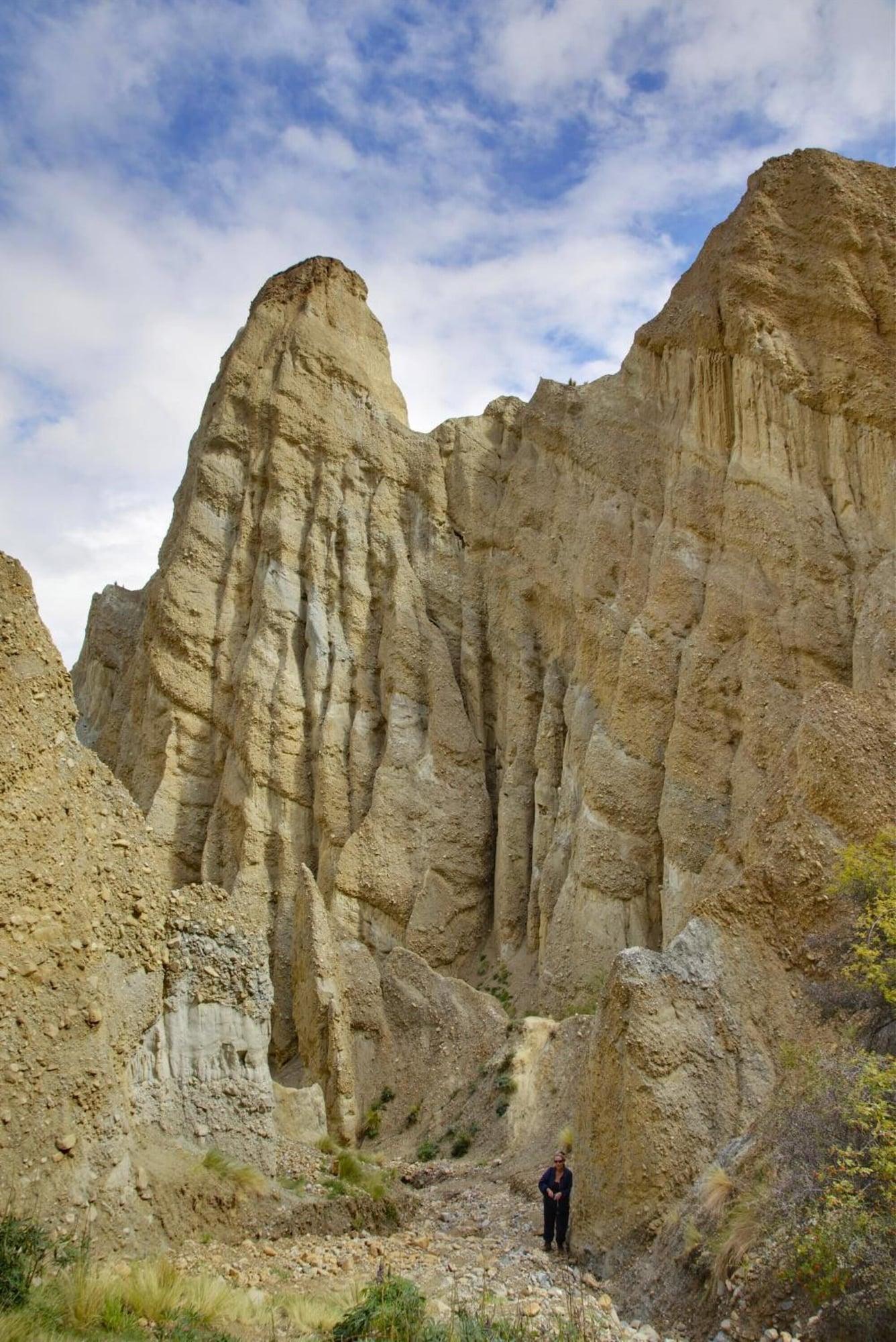 Vista Exterior Ahuriri Motels