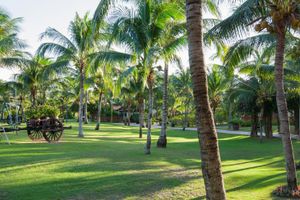 Alojamiento - Pandanus Resort