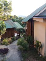 Alojamiento - Phi Phi Jungle Hill Bungalow