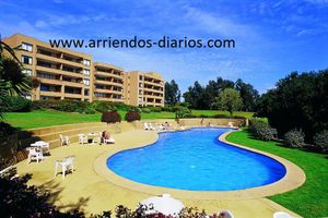 Alquiler Vacacional - Departamento Alto Mantagua