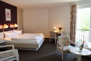 Alojamiento - Heidenauer Hotel im Park