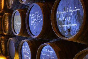 Activity - Bodegas Fundador Tour
