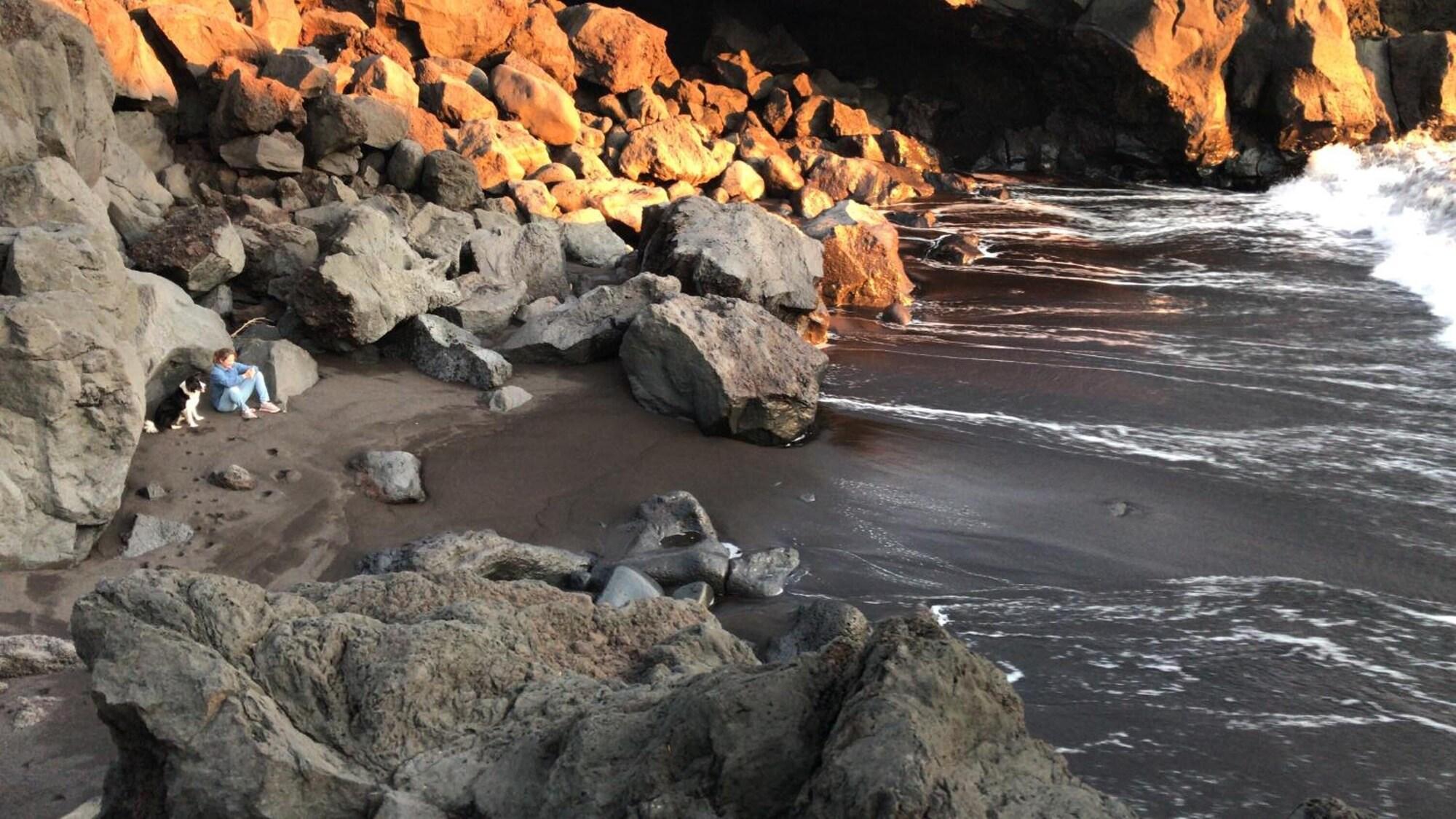 Vista Exterior Make It Happen Farm