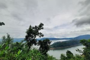 Alquiler Vacacional - AAAh Amazing!! Suite for 4+/Near Universal,Sun,Fun