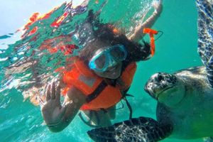 Actividad - PIK - Nado con tortugas desde Punta Sal