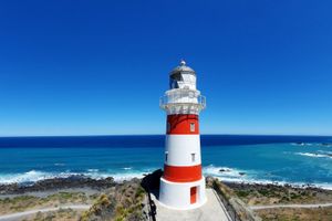 Actividad - Visita de día completo al faro de Palliser, focas y vino