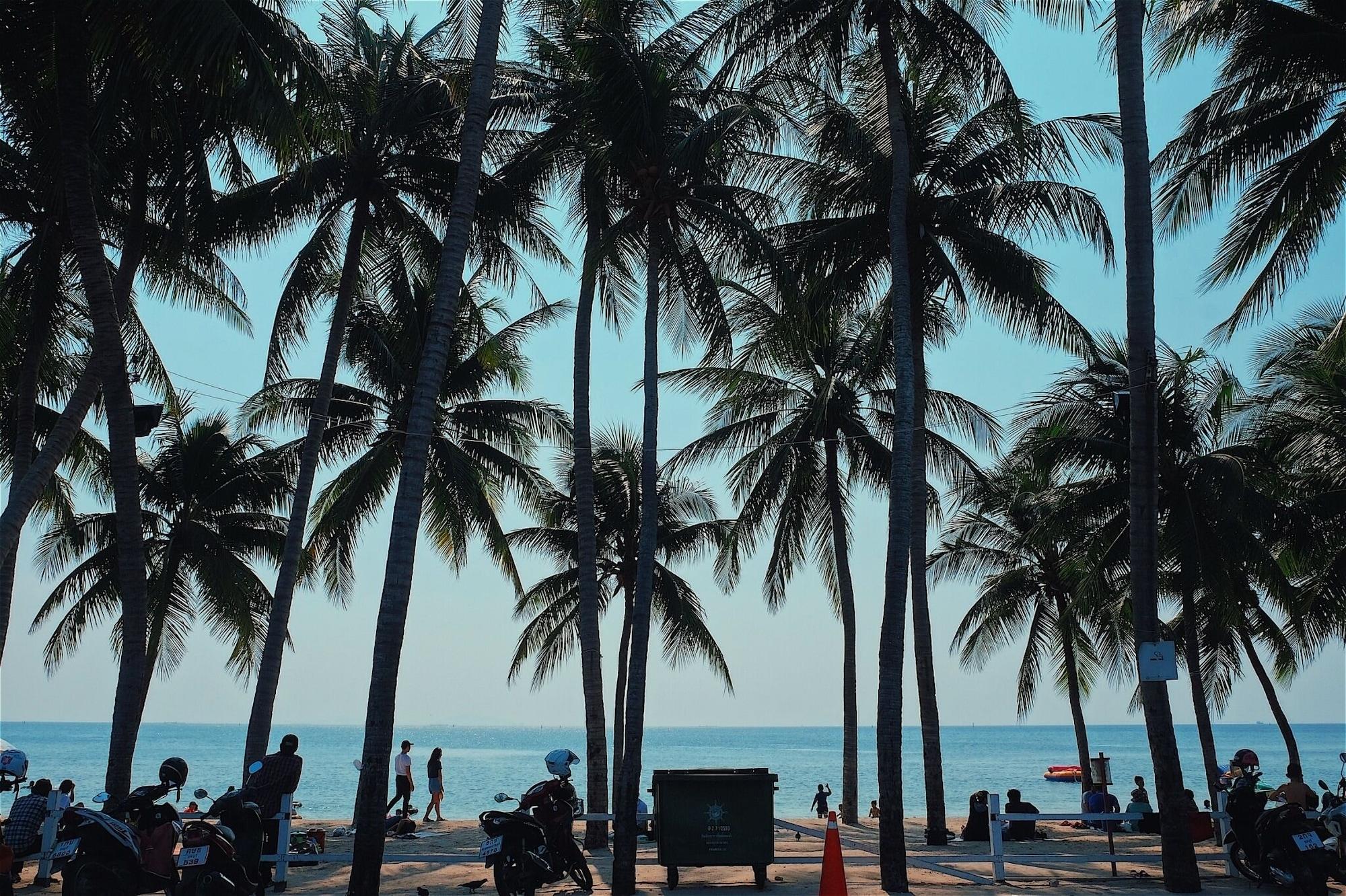 Playa Sea Sand Trees