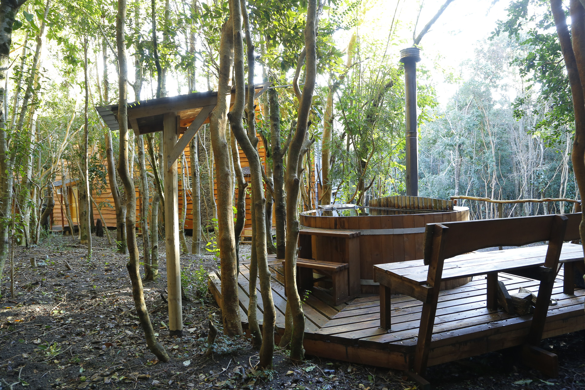 Vista Piscina Cabañas Ensenada Bosque Nativo