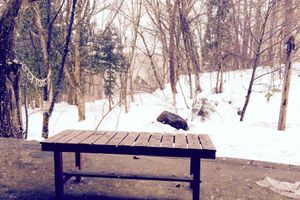 Alojamiento - Hakuba Landmark Happo Lodge
