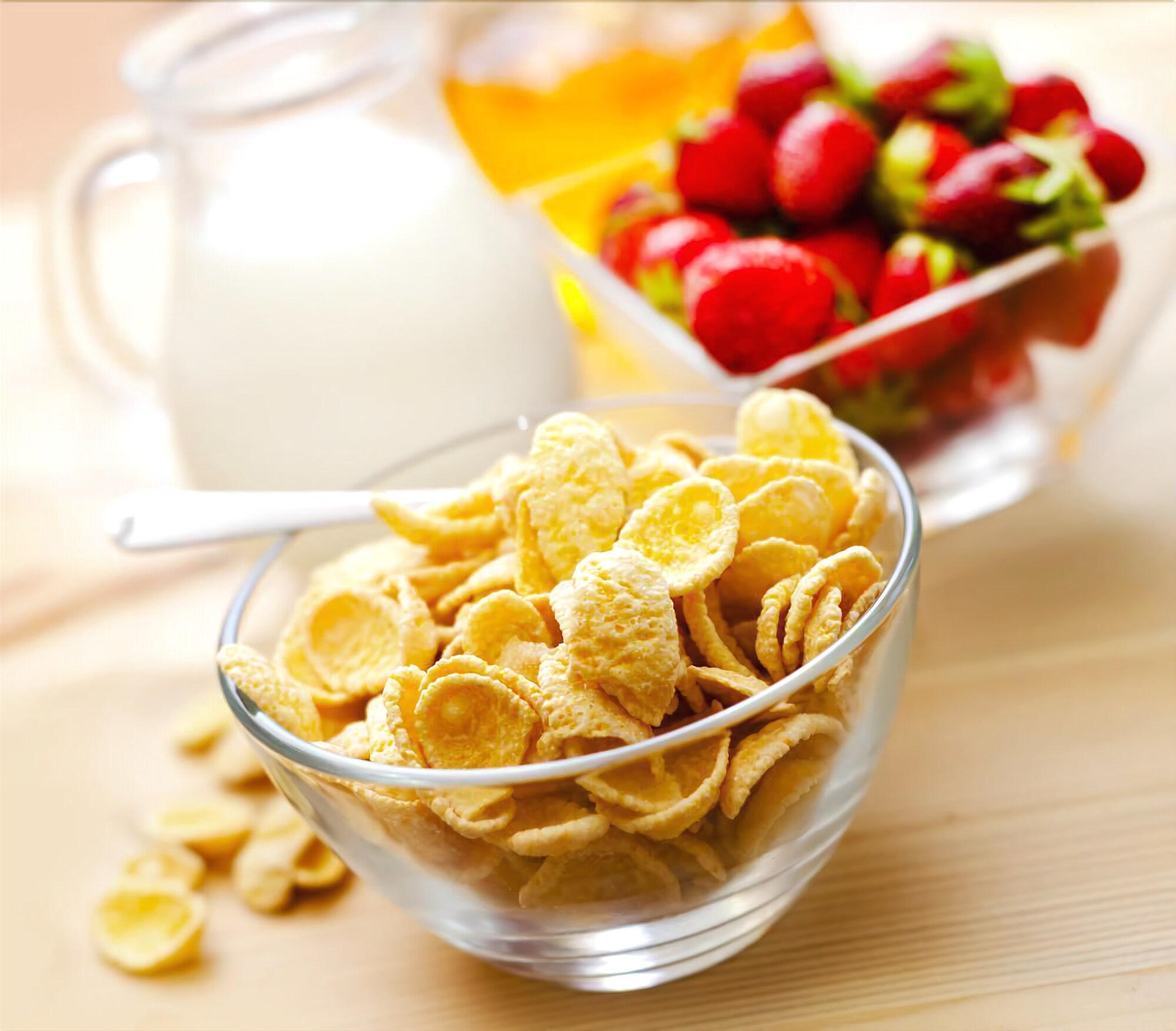 Instalaciones Recreativas Guest house Hober