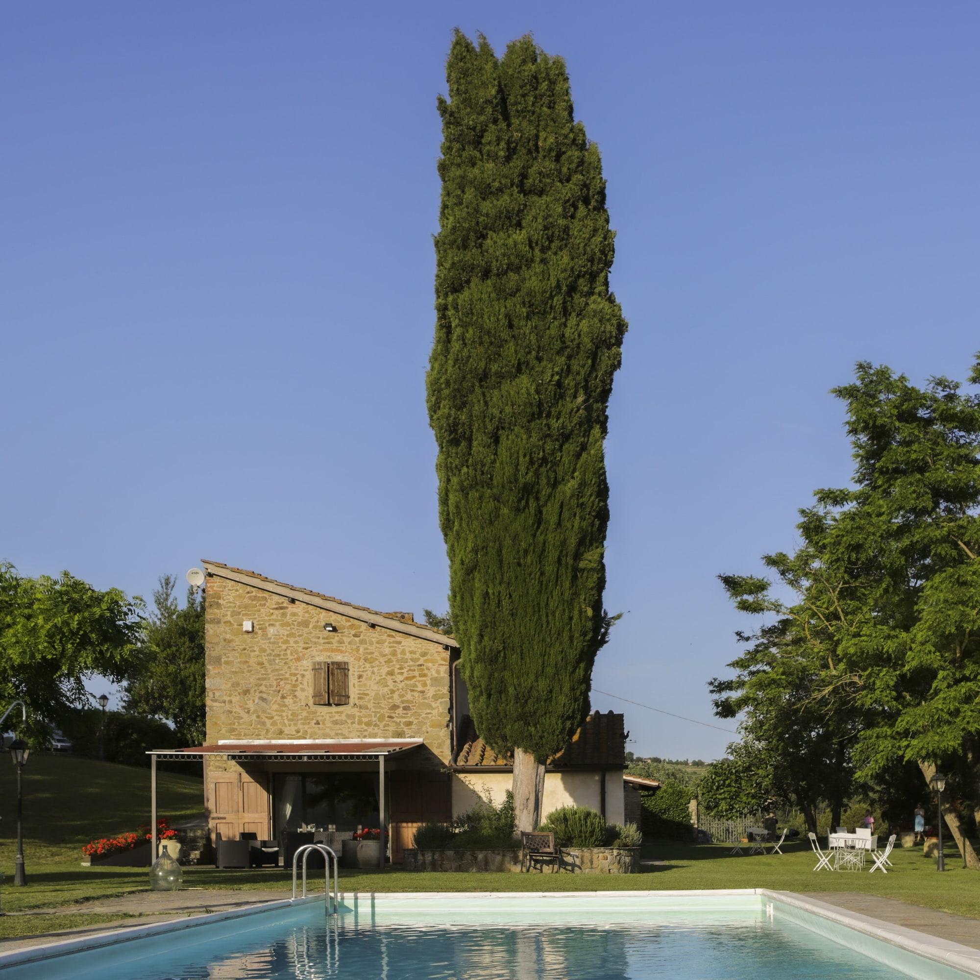 Vista Piscina Il Vignolino Bed and Breakfast