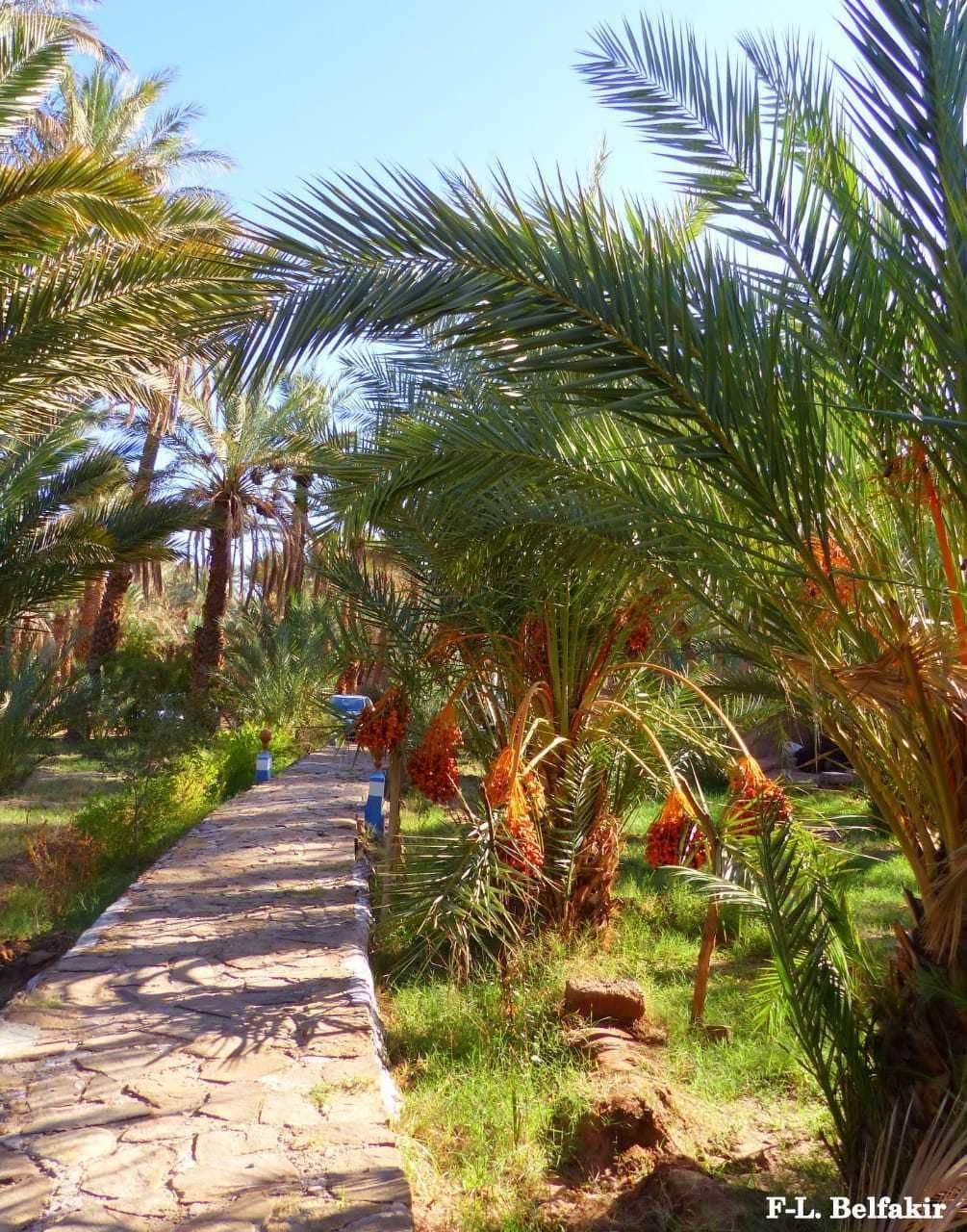 Vista Exterior Riad Tagmadart Ferme D'hôte