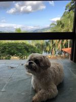 Alojamiento - Pousada Solar dos Sonhos