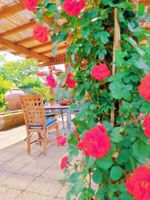 Alojamiento - Agriturismo I Casamenti