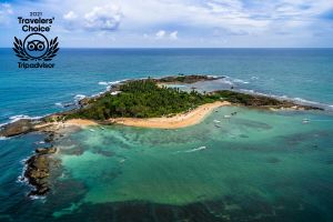 Actividad - Isla de Santo Aleixo con lancha rápida y sendero natural