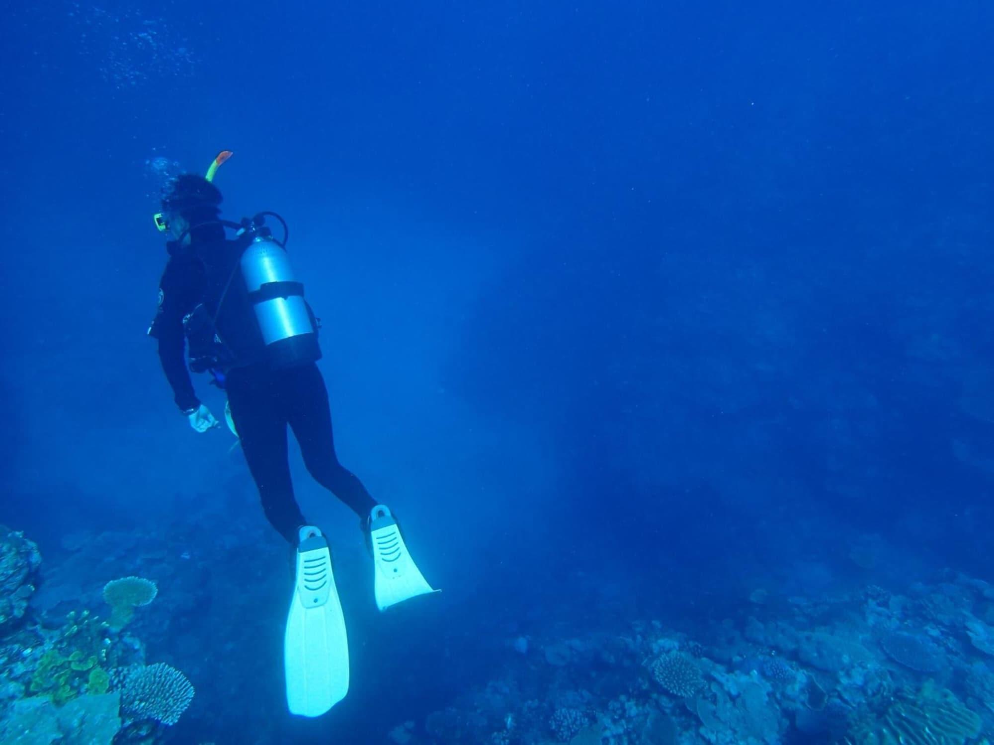 Gimnasio Rest and Lodge Syou