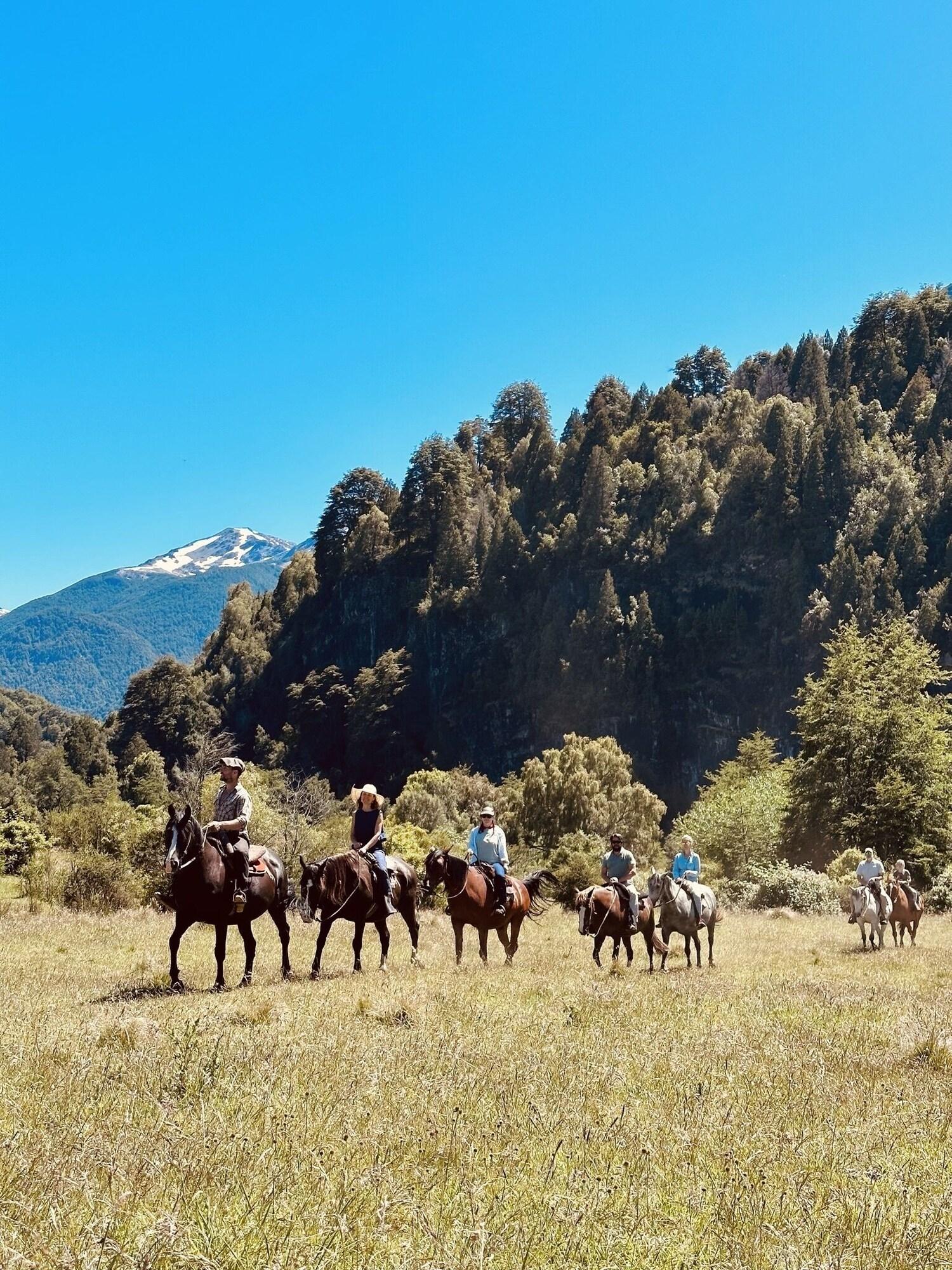 Instalaciones Recreativas Rio Manso Camp - Glamping Bariloche