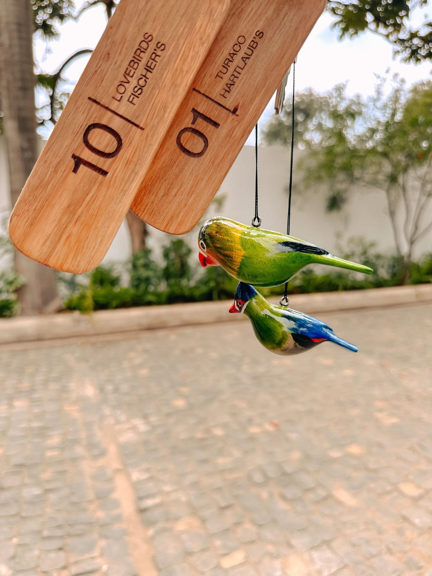 Set de Habitación Brubru Lodge