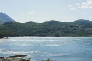 Actividad - Tour en vehículo por Tierra del Fuego en grupo reducido