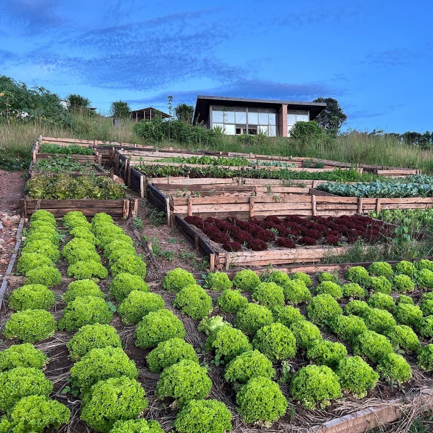 Vista Exterior UMVA Muhazi