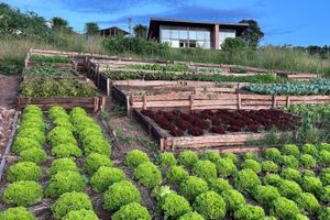 Alojamiento - UMVA Muhazi