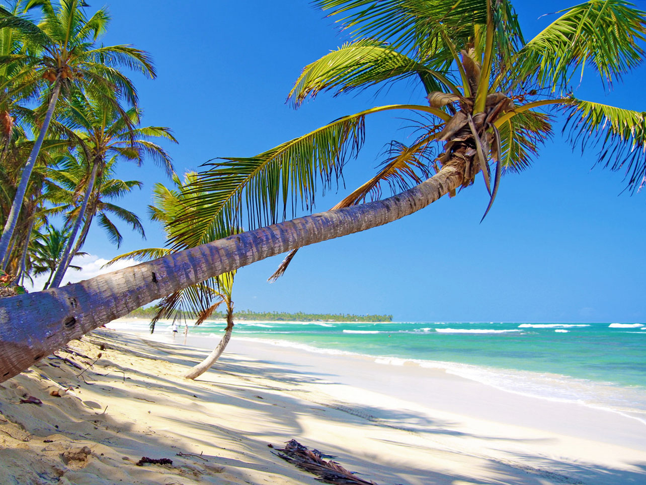 Punta Cana