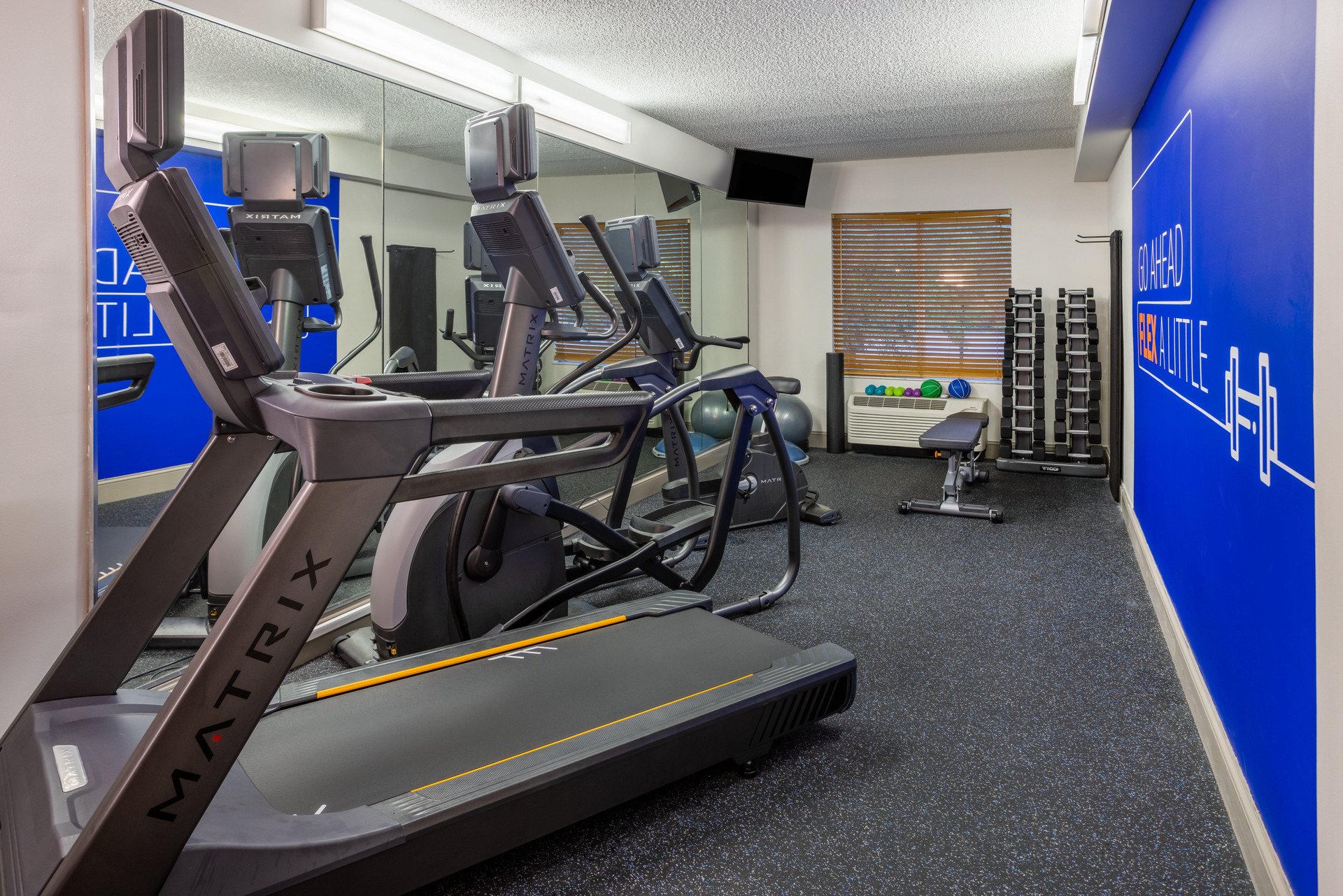 Gimnasio Holiday Inn Express Hotel & Suites New Tampa I-75 by IHG