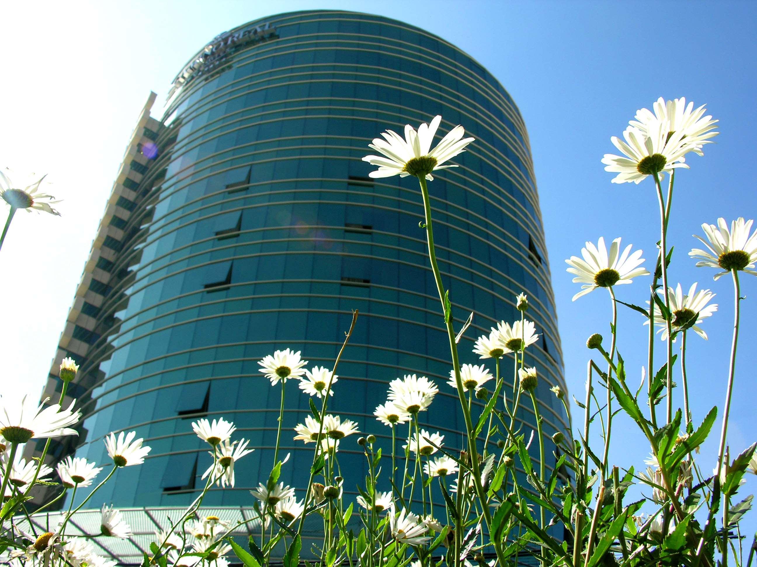 Vista Exterior Suites Camino Real