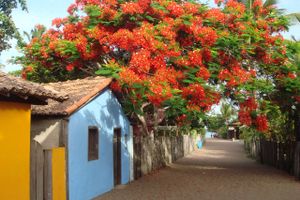 Actividad - Caraíva salida Arraial d'Ajuda