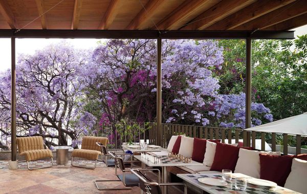 Hotel Dama - Hoteles en Condesa de Ciudad de México