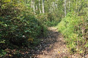 Alquiler Vacacional - Hideaway Glamping Tent