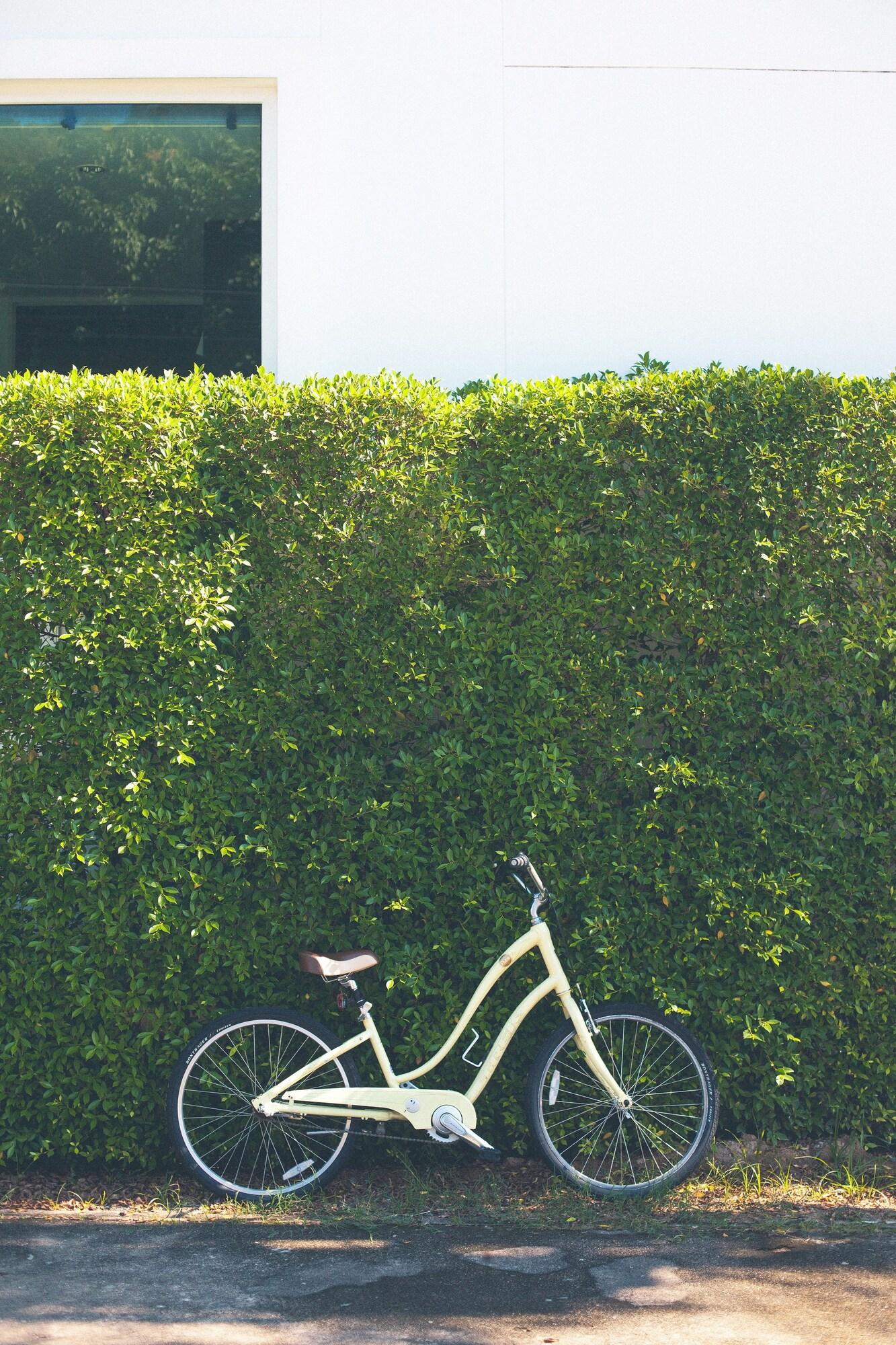 Varios Blu Monkey Bed & Breakfast Phuket