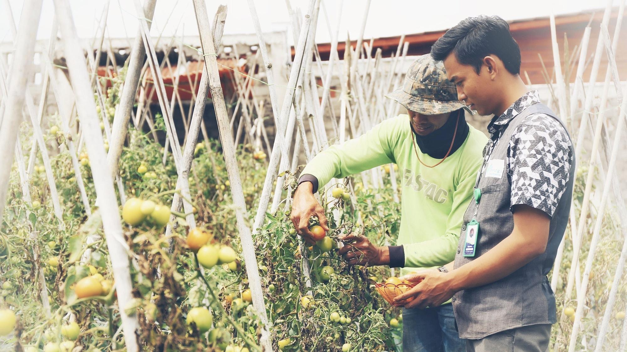 Instalaciones Recreativas Swarga Lodge and Homestay