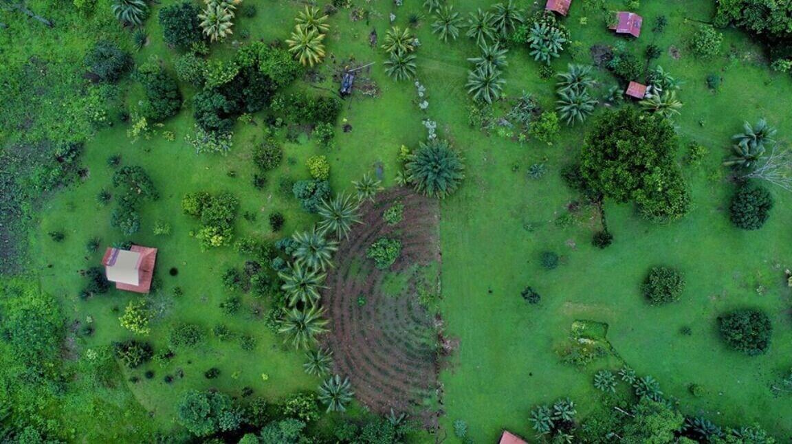 Varios EcoFarm Casa Pequeña