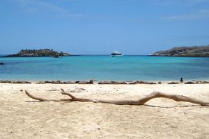 Actividad - Tour De Bahia-Isla Santa Cruz - Desde Santa Cruz