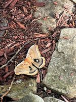 Alquiler Vacacional - Amazing Space in the Poconos--Perfect Getaway for Couples & Small Families