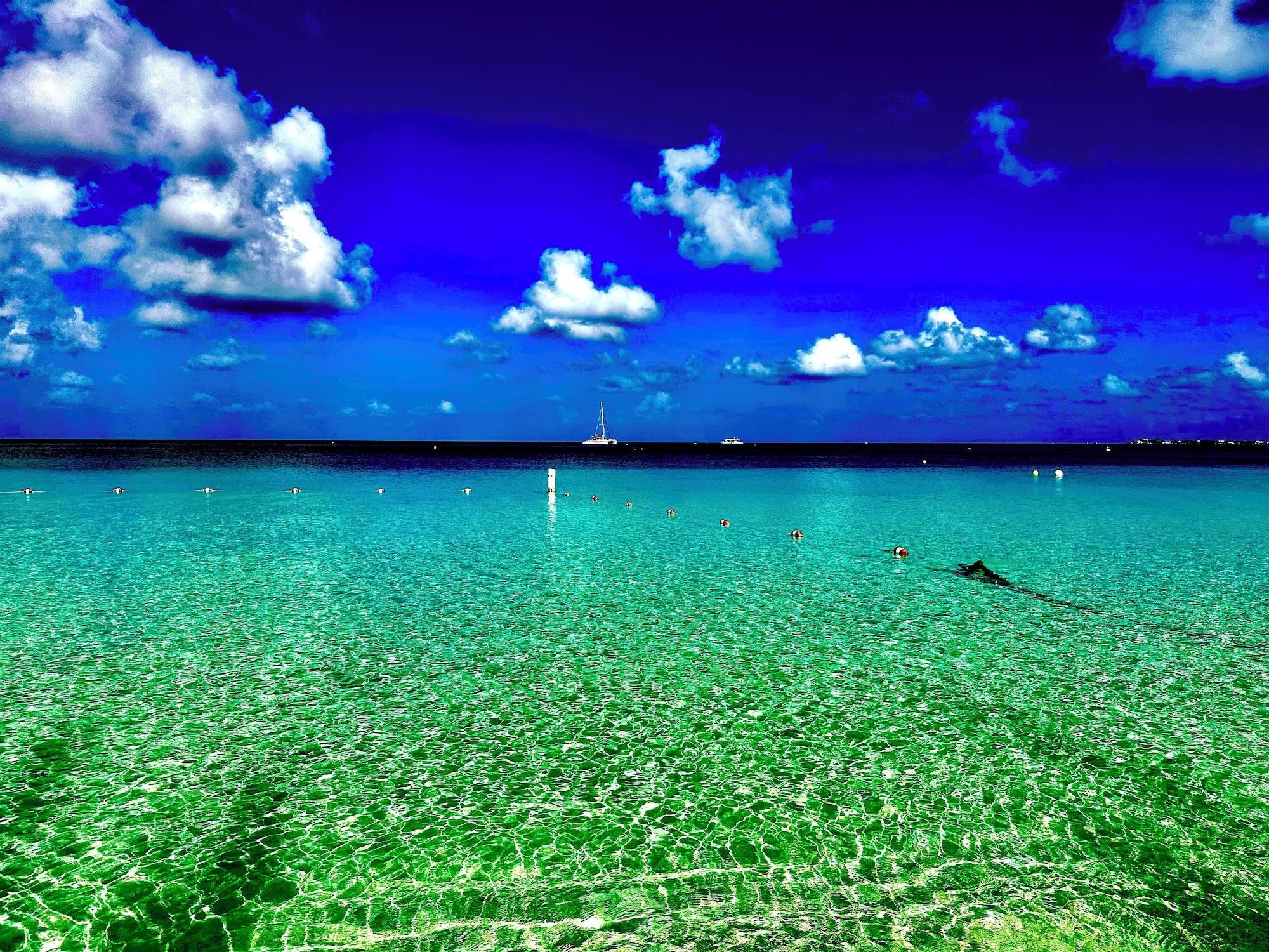 Playa The Grove