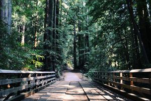 Alquiler Vacacional - Nicely Furnished Studio With Dishwasher in Belgian Limburg