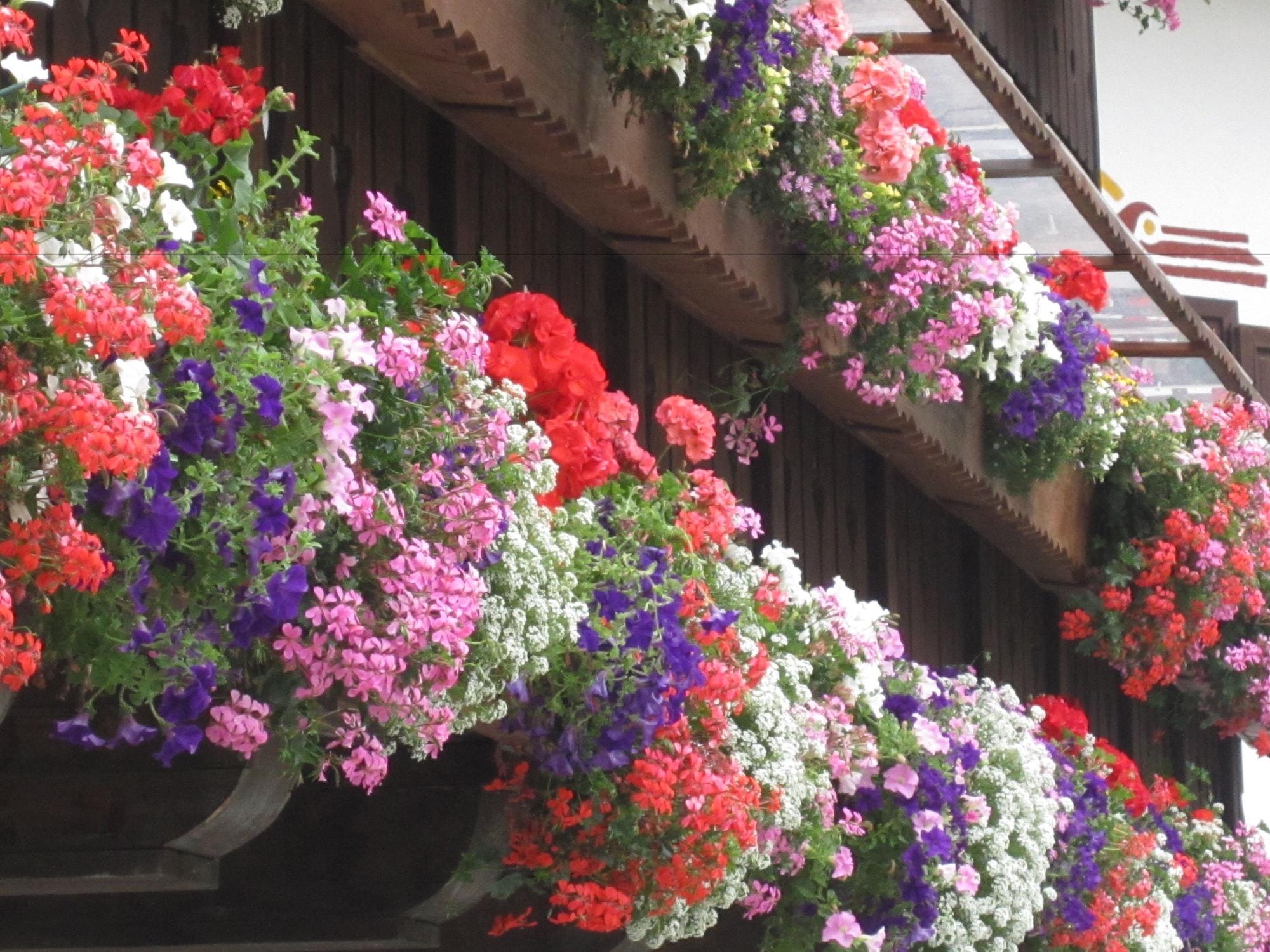 Vista Exterior Hotel Jolanda Sport