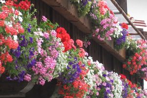 Alojamiento - Hotel Jolanda Sport