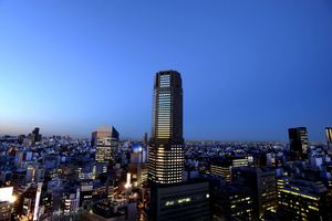 Alojamiento - Cerulean Tower Tokyu Hotel