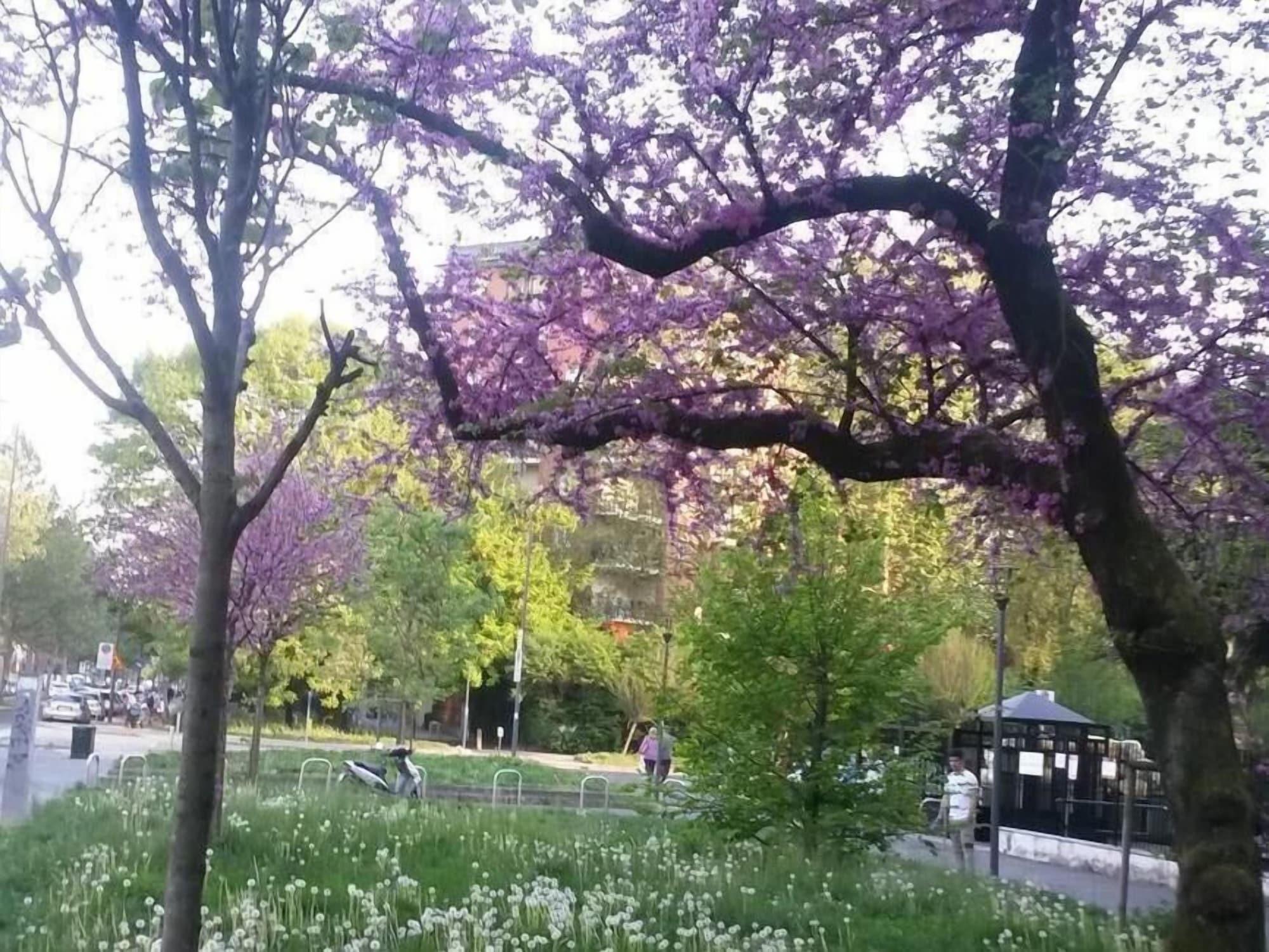 Vista Exterior B&B A San Siro 75